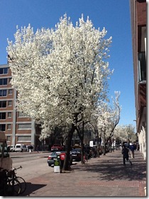 cameraroll-1332865116.430359