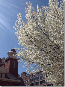 cameraroll-1332865121.073435